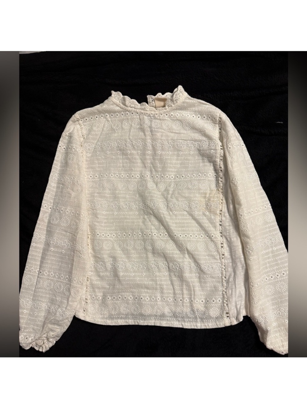 Zara Cream Eyelet Lace Long Sleeve Top